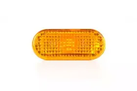 Фонарь указателя поворота BSG купить